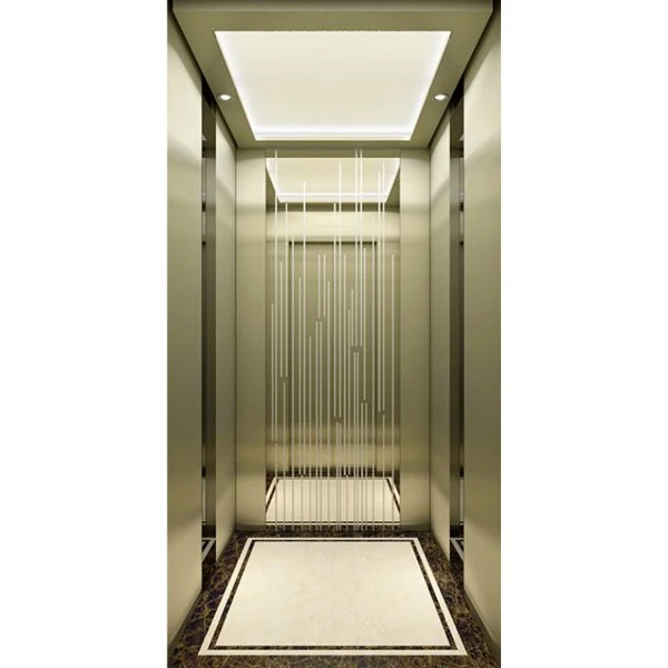 Lift pentru casă: Dimensiune mică 1400x1500 260kg FUJI Home Lift